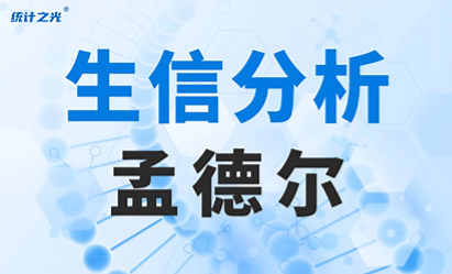 加载中。。。